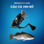 Máy Câu Đứng Shimano Twin Power XD Câu Cá Ven Bờ