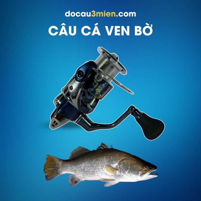 Máy Câu Đứng Shimano Twin Power XD Câu Cá Ven Bờ
