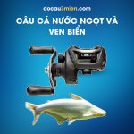 Máy Câu Ngang Daiwa CC80 Dùng Câu Cá Săn Mồi