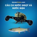 Máy Câu Ngang Daiwa PR100 Dùng Câu Cá Nước Ngọt Và Nước Mặn