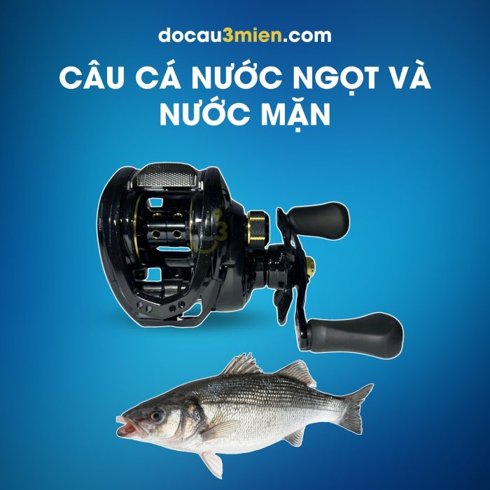 Máy Câu Ngang Daiwa PT 100HL Dùng Câu Cá Nước Ngọt Và Nước Mặn