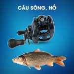 Máy Câu Ngang Shimano Aldebaran MG 31 HG Dùng Câu Sông, Hồ