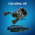 Máy Câu Ngang Shimano Curado DC 210XG Câu Sông Hồ