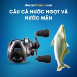 Máy Câu Ngang Shimano Scorpion DC Câu Cá Nước Ngọt Và Nước Mặn