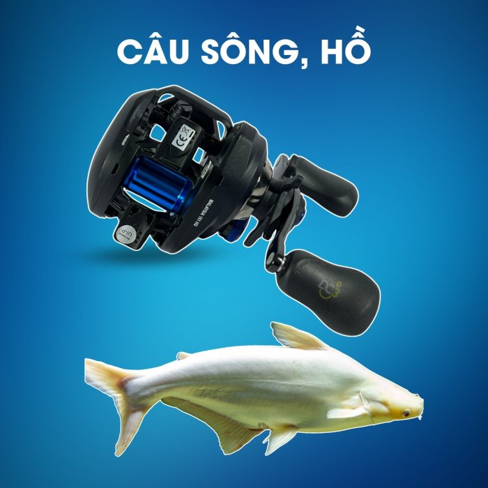 Máy Câu Ngang Shimano SLX DC 151HG Câu Sông Hồ