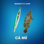 Mồi câu Daiwa Saltiga SK Jig Dùng Câu Cá Mú