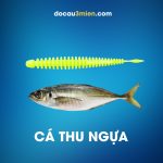 Mồi Daiwa Beam Worm Dùng Câu Cá Thu Ngựa