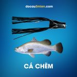 Mồi Giả Daiwa Steez Chiquita Frog Dùng Câu Cá Chẽm