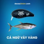 Mồi Giả Tatula 10 Năm Câu Cá Ngừ Vây Vàng