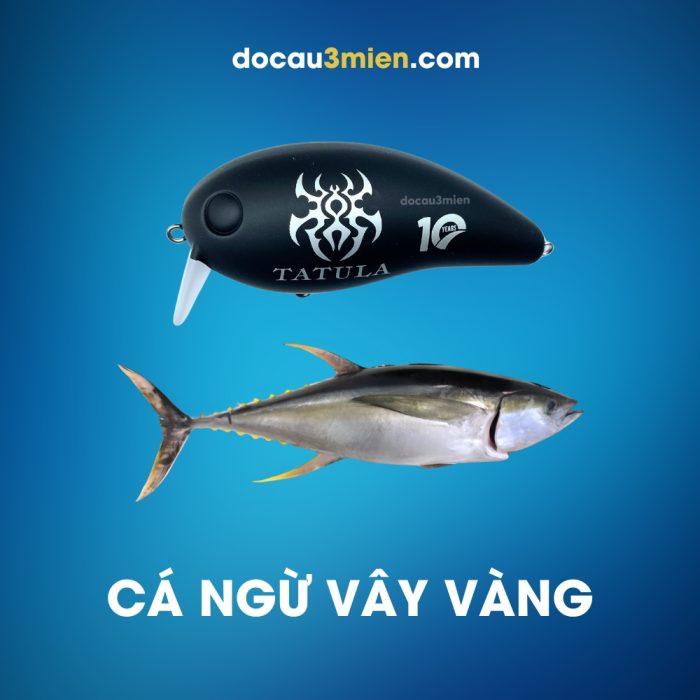 Mồi Giả Tatula 10 Năm Câu Cá Ngừ Vây Vàng