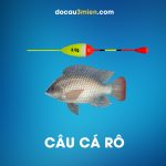 Phao Câu Cá Rô
