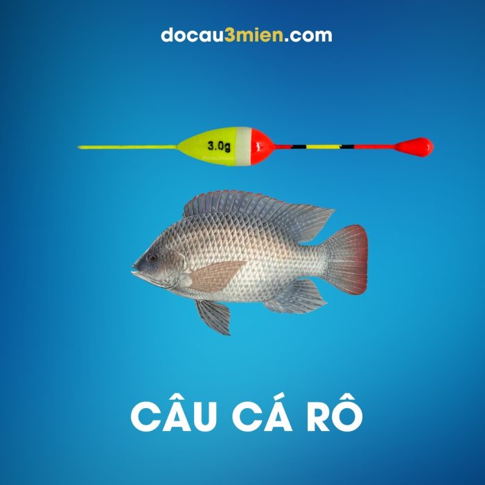Phao Câu Cá Rô