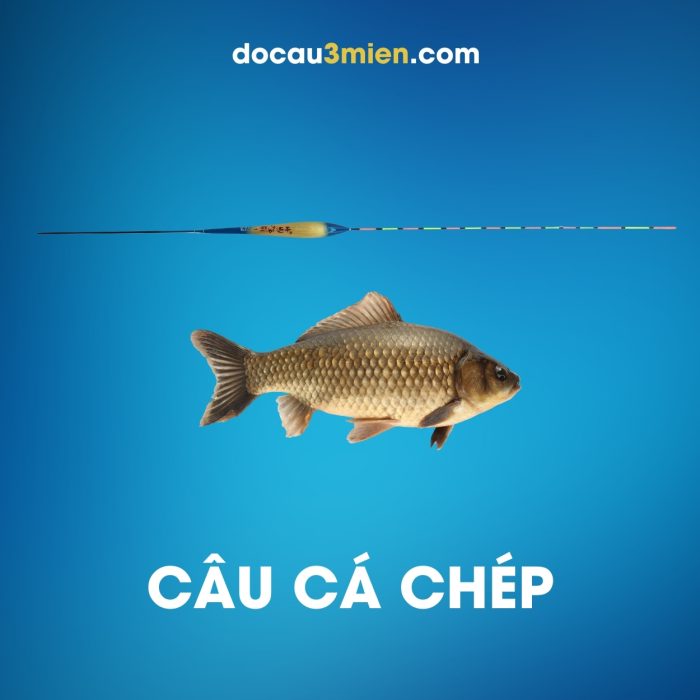Phao Cỏ LW-09 Câu Cá Chép