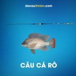 Phao Đêm Shimano 1.2g Câu Cá Rô