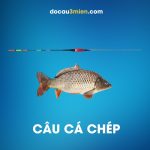 Phao Đêm Shimano 1g Câu Cá Chép