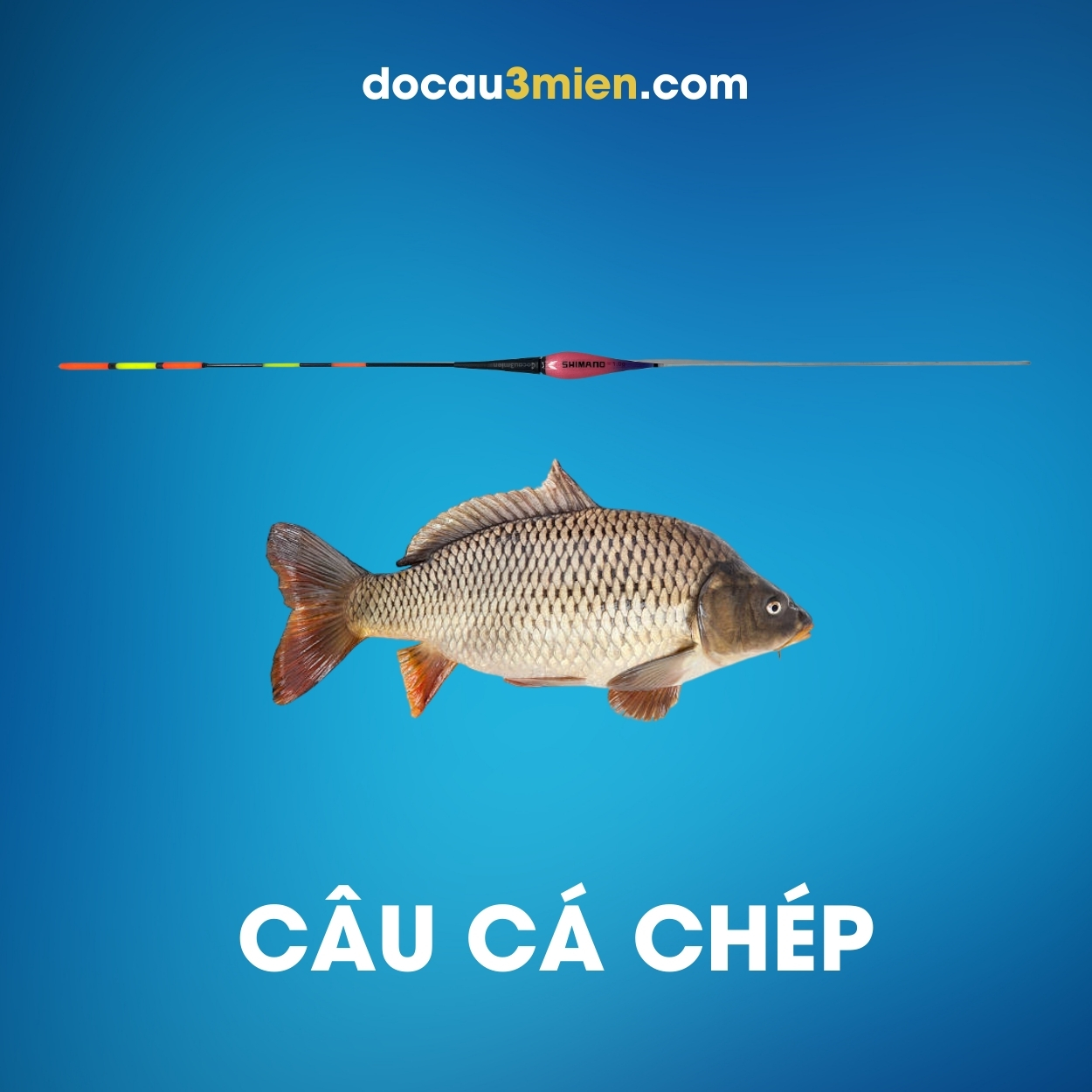 Phao Đêm Shimano 1g Câu Cá Chép