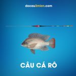 Phao Đêm Shimano 1g Câu Cá Rô