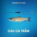Phao Lửng Z-15 Câu Cá Trắm