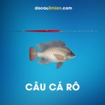 Phao Nano Câu Cá Rô