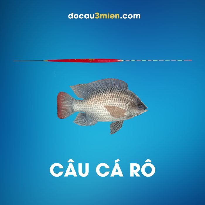 Phao Nano Câu Cá Rô