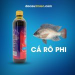 Phi Xả Sa Phạm Dùng Câu Cá Rô Phi