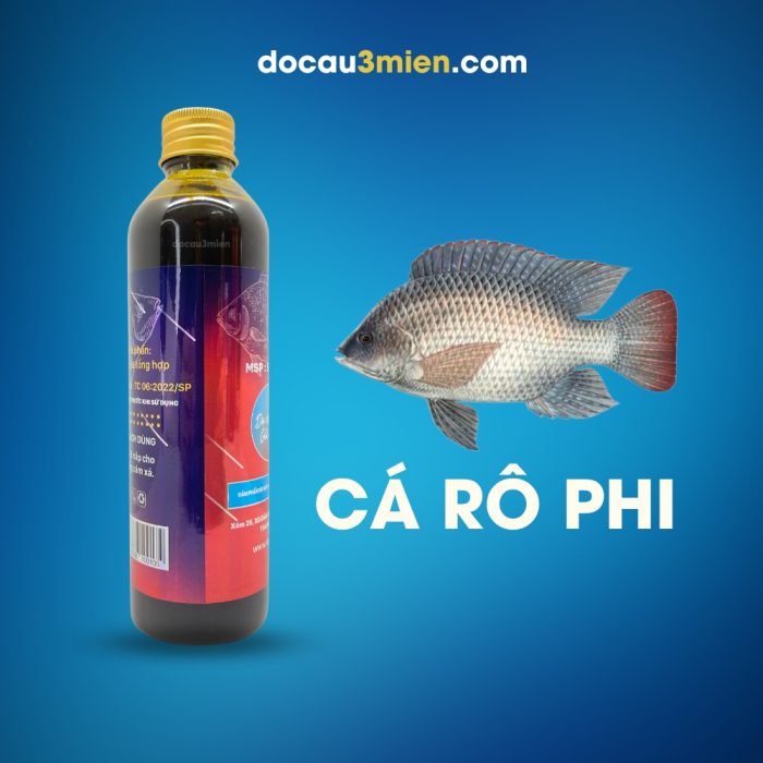 Phi Xả Sa Phạm Dùng Câu Cá Rô Phi