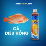 Phi Xả Và Hồng Phi Kim Long Dùng Câu Cá Diêu Hồng