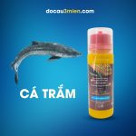 Sữa Ngô Sa Phạm Dùng Câu Cá Trắm