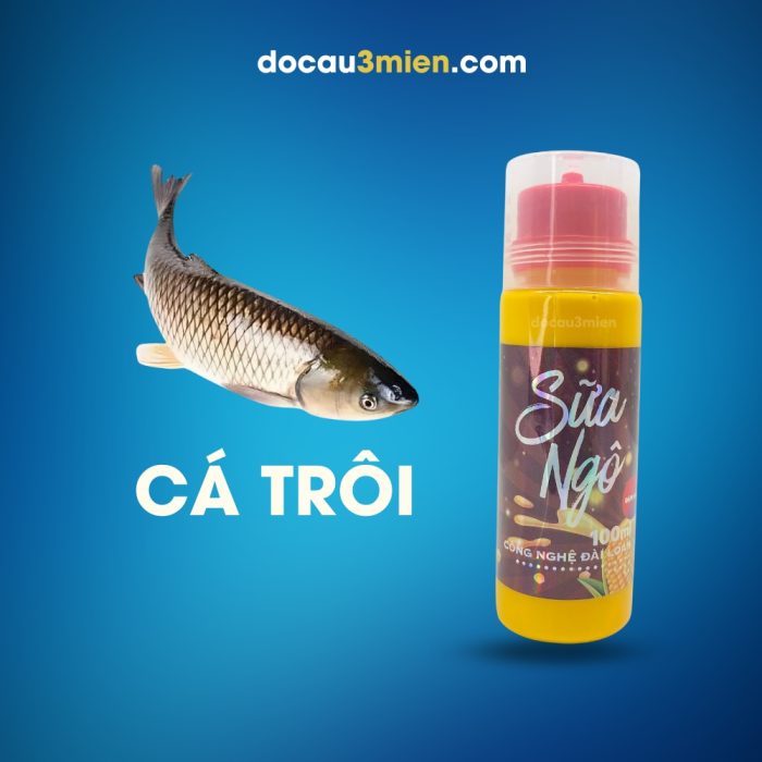Sữa Ngô Sa Phạm Dùng Câu Cá Trôi