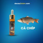 Tinh Chất Khoai Lang Sa Phạm Dùng Câu Cá Chép