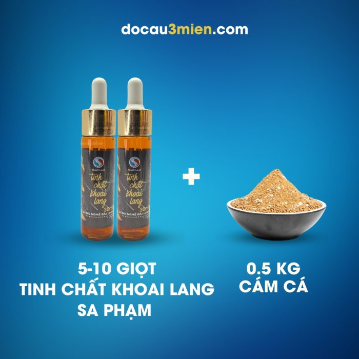 Cách Dùng Tinh Chất Khoai Lang Sa Phạm