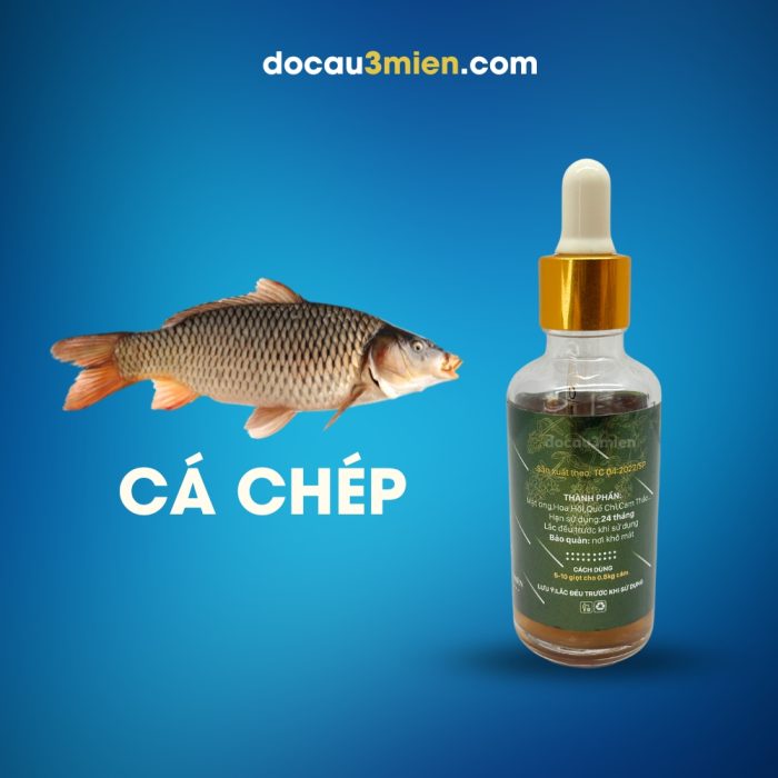 Hương Liệu Câu Cá Rượu Thảo Mộc Sa Phạm Dùng Câu Cá Chép