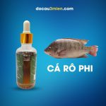 Hương Liệu Câu Cá Rượu Thảo Mộc Sa Phạm Dùng Câu Cá Rô Phi