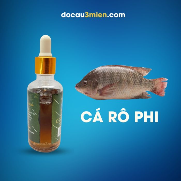 Hương Liệu Câu Cá Rượu Thảo Mộc Sa Phạm Dùng Câu Cá Rô Phi