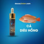 Tinh Sữa Pudding Sa Phạm Dùng Câu Cá Diêu Hồng