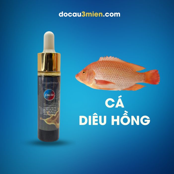 Tinh Sữa Pudding Sa Phạm Dùng Câu Cá Diêu Hồng