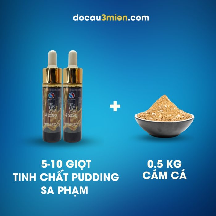 Cách Dùng Tinh Sữa Pudding Sa Phạm