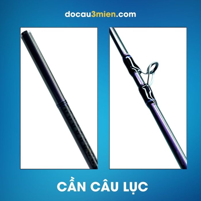 Cần Câu Cá Cần Câu Lục Daiwa Phantom Surf 33-425