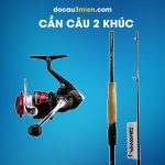 Cần Câu 2 Khúc Daiwa Blazon