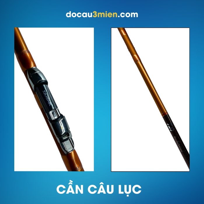Cần Lục Daiwa Castizm