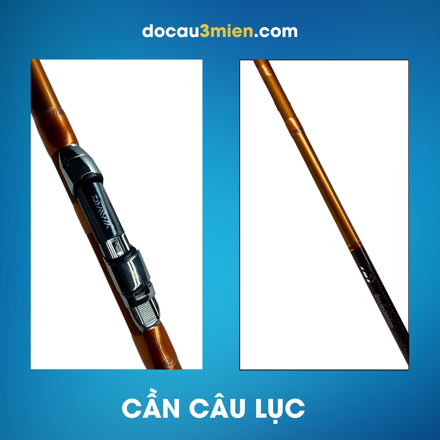 Cần Lục Daiwa Castizm