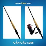 Cần Câu Máy Đứng Daiwa Blazon