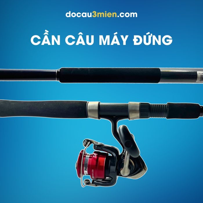 Cần Câu Máy Đứng Daiwa Phantom Catfish 2 Khúc
