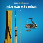 Cần Câu Máy Đứng Daiwa Wise Stream 2022 3 Khúc