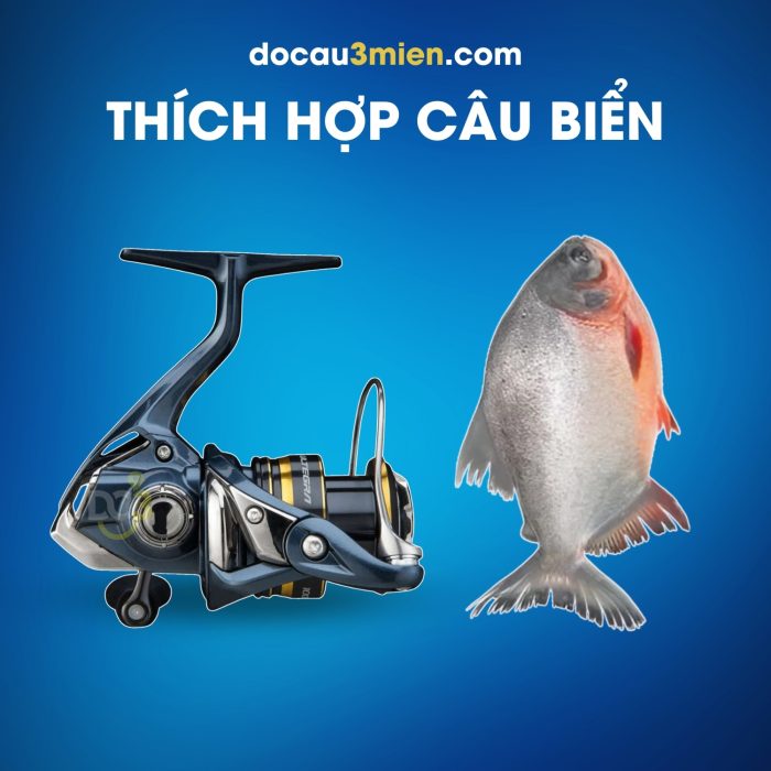 Máy Câu Đứng Shimano Ultegra FC Thích Hợp Câu Biển