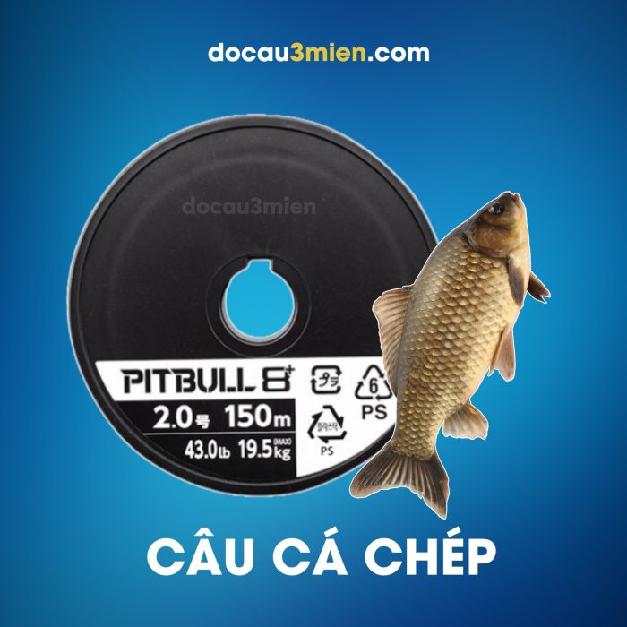 Dây Dù Câu Cá Shimano Pitbull PE 8+ Câu Cá Chép