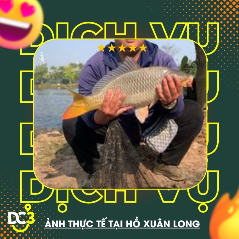 Dịch vụ tiện ích Hồ câu Xuân Long