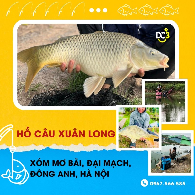 Giới thiệu hồ câu dịch vụ Xuân Long