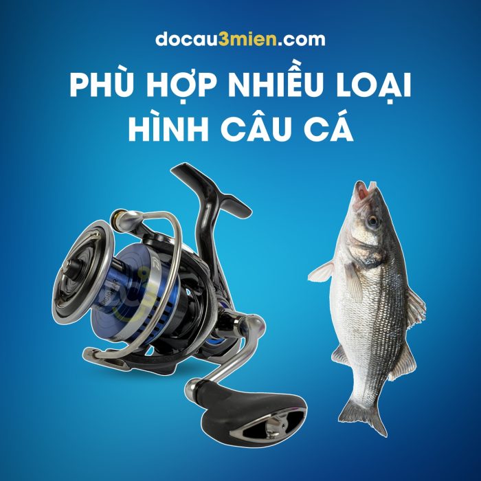 Máy Câu Đứng Daiwa Legalis LT D-C 2020 Phù Hợp Nhiều Loại Hình Câu Cá