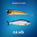 Mồi Giả Câu Cá POP Seaknight blade Series Câu Cá Hồi